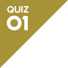 QUIZ01
