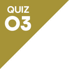 QUIZ03