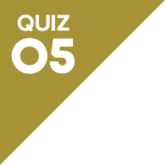 QUIZ05
