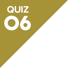 QUIZ06