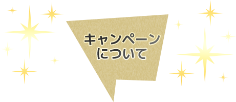 キャンペーンについて
