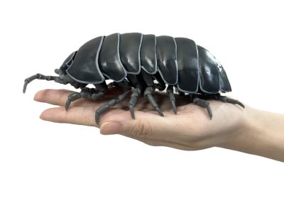 今日は虫の日（6月4日）　ダンゴムシ完全版の開発に挑戦！