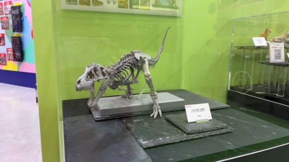 ガシャポン®に超夢中展2025　前日の飾り付け