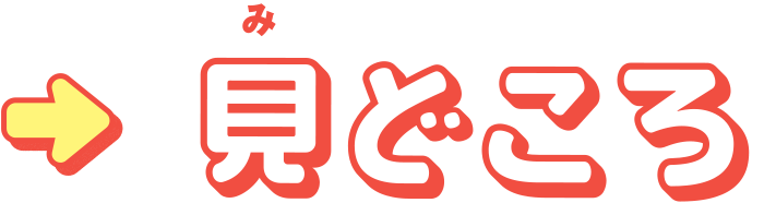 見どころ