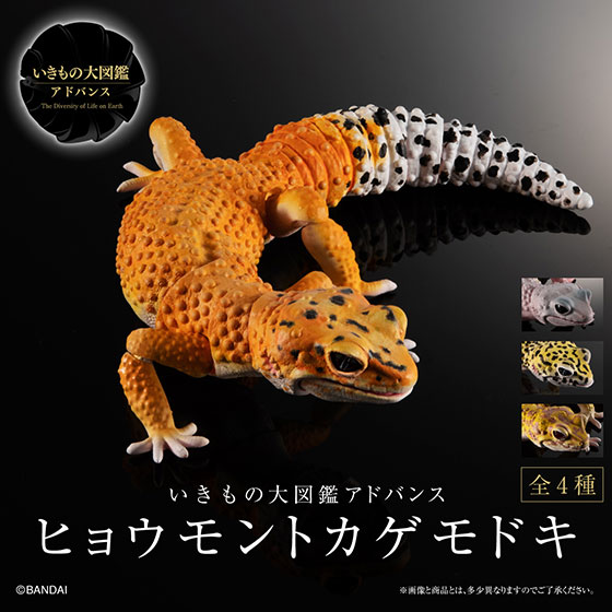 いきもの大図鑑 ガシャポンワールド