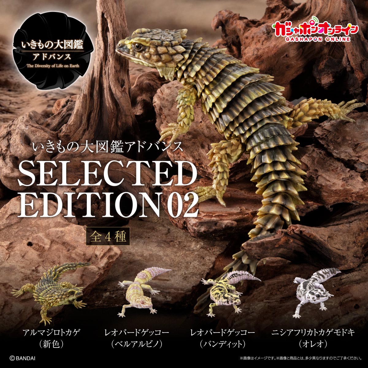 いきもの大図鑑アドバンス<br>SELECTED EDITION 02