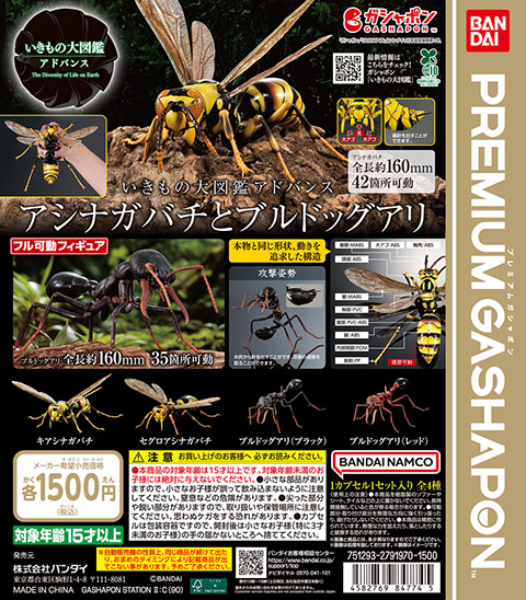 いきもの大図鑑アドバンス<br>アシナガバチとブルドックアリ