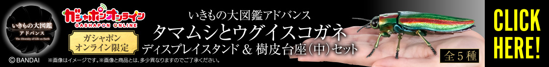 いきもの大図鑑アドバンス タマムシとウグイスコガネ ディスプレイスタンド＆樹皮台座（中）セット