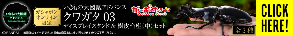 いきもの大図鑑アドバンス クワガタ03