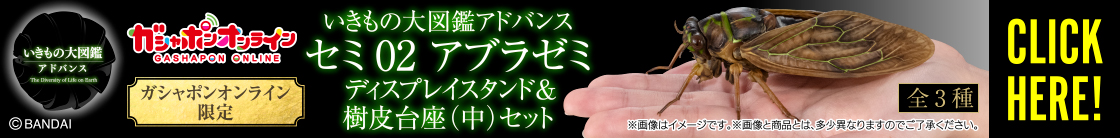 いきもの大図鑑アドバンス セミ02 アブラゼミ ディスプレイスタンド＆樹皮台座（中）セット