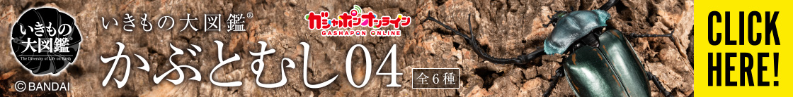 いきもの大図鑑 かぶとむし04