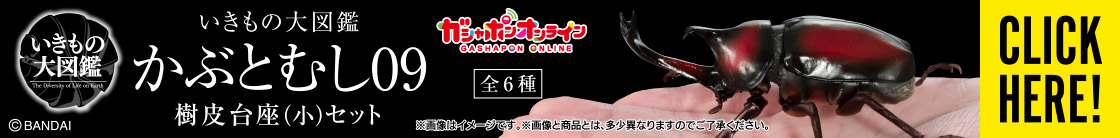 いきもの大図鑑 かぶとむし09