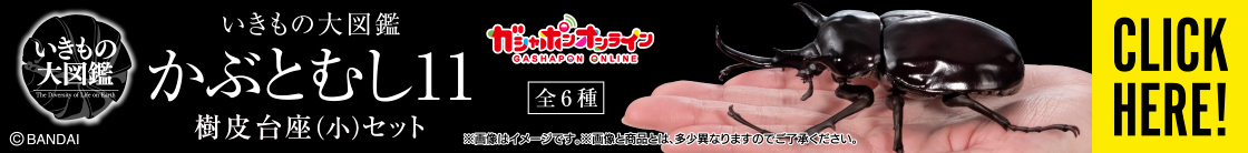 いきもの大図鑑 かぶとむし11