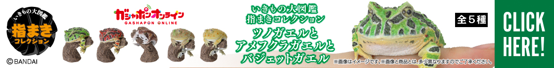 いきもの大図鑑指まきコレクション ツノガエルとアメフクラガエルとバジェットガエル