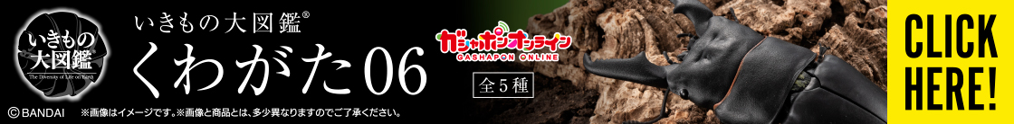 いきもの大図鑑 くわがた06