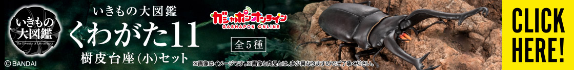 いきもの大図鑑 くわがた11 樹皮台座（小）セット