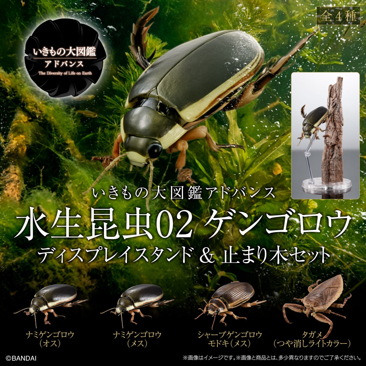 いきもの大図鑑アドバンス<br>水生昆虫02 ゲンゴロウ<br>ディスプレイスタンド＆止まり木セット