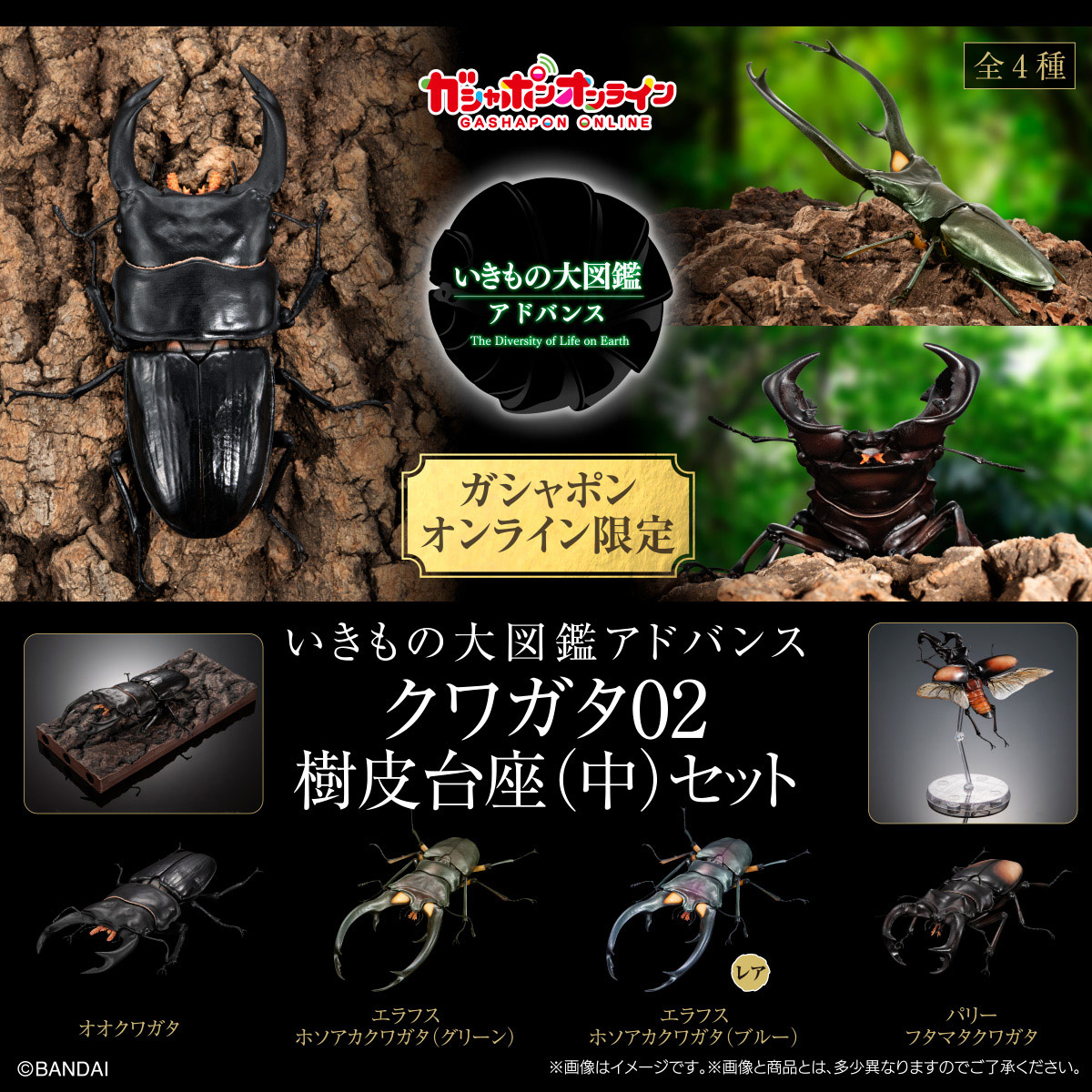 いきもの大図鑑｜ガシャポンオフィシャルサイト