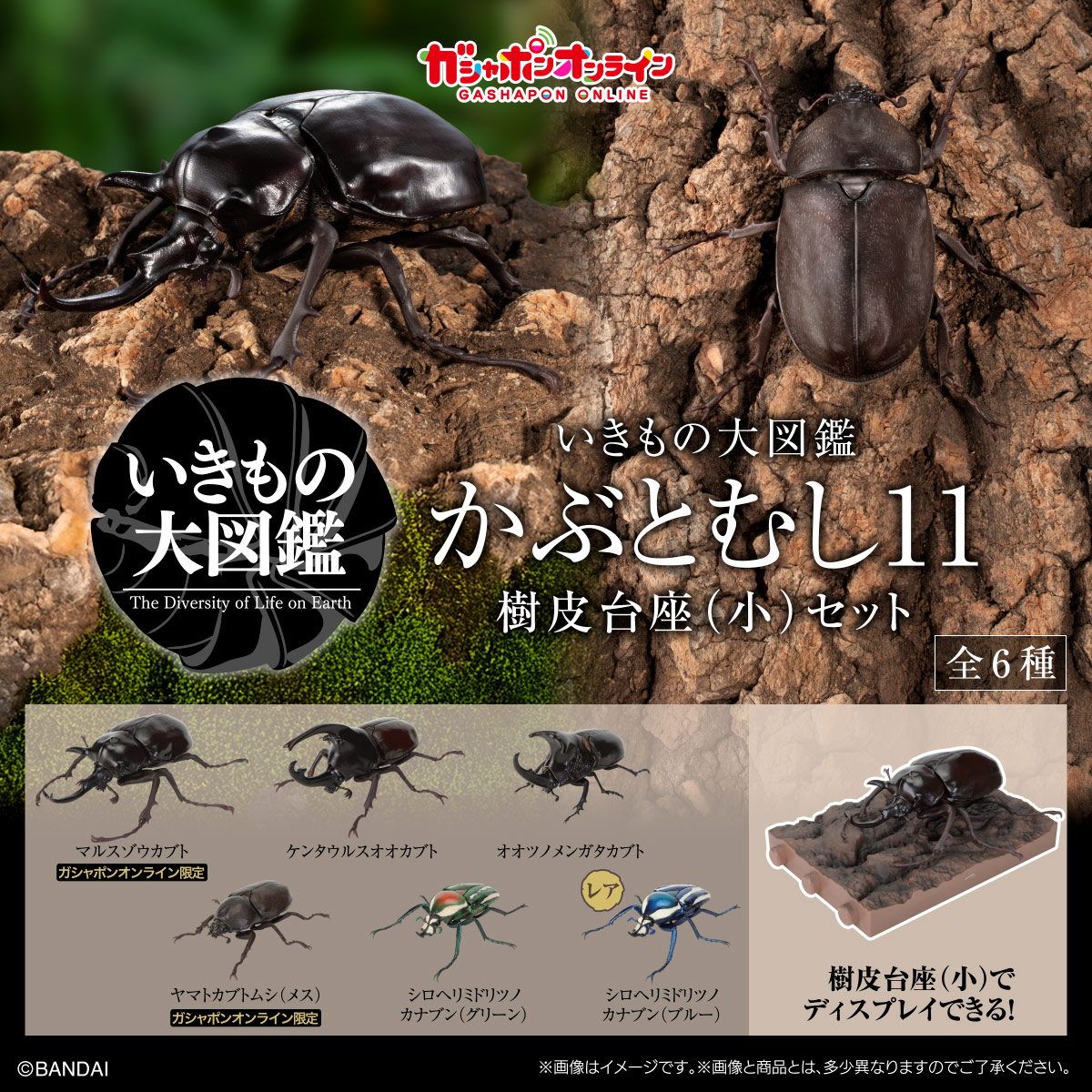 いきもの大図鑑<br>かぶとむし11<br>樹皮台座（小）セット