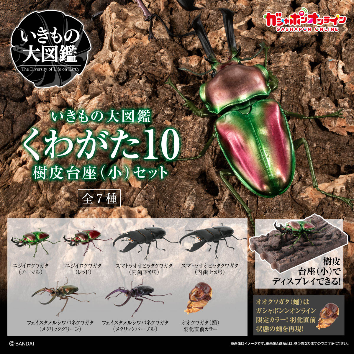 いきもの大図鑑｜ガシャポンオフィシャルサイト