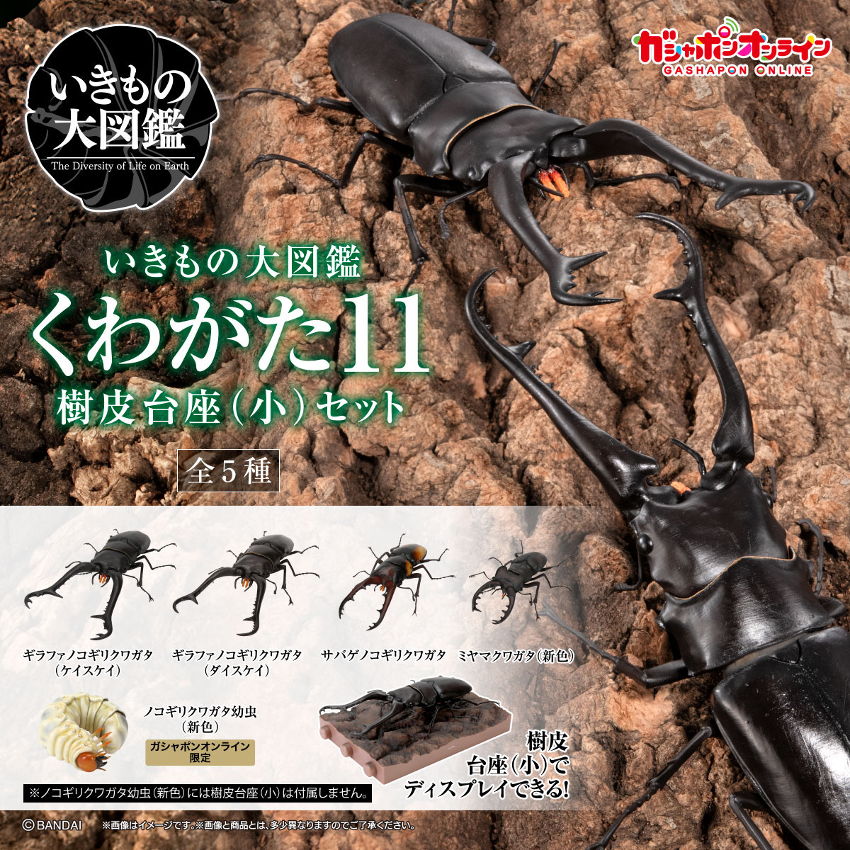 新品未開封　ガシャポン　かぶとむし くわがた すずめばち サソリ あり セット いきもの大図鑑 かぶとむし08｜ガシャポンオフィシャルサイト