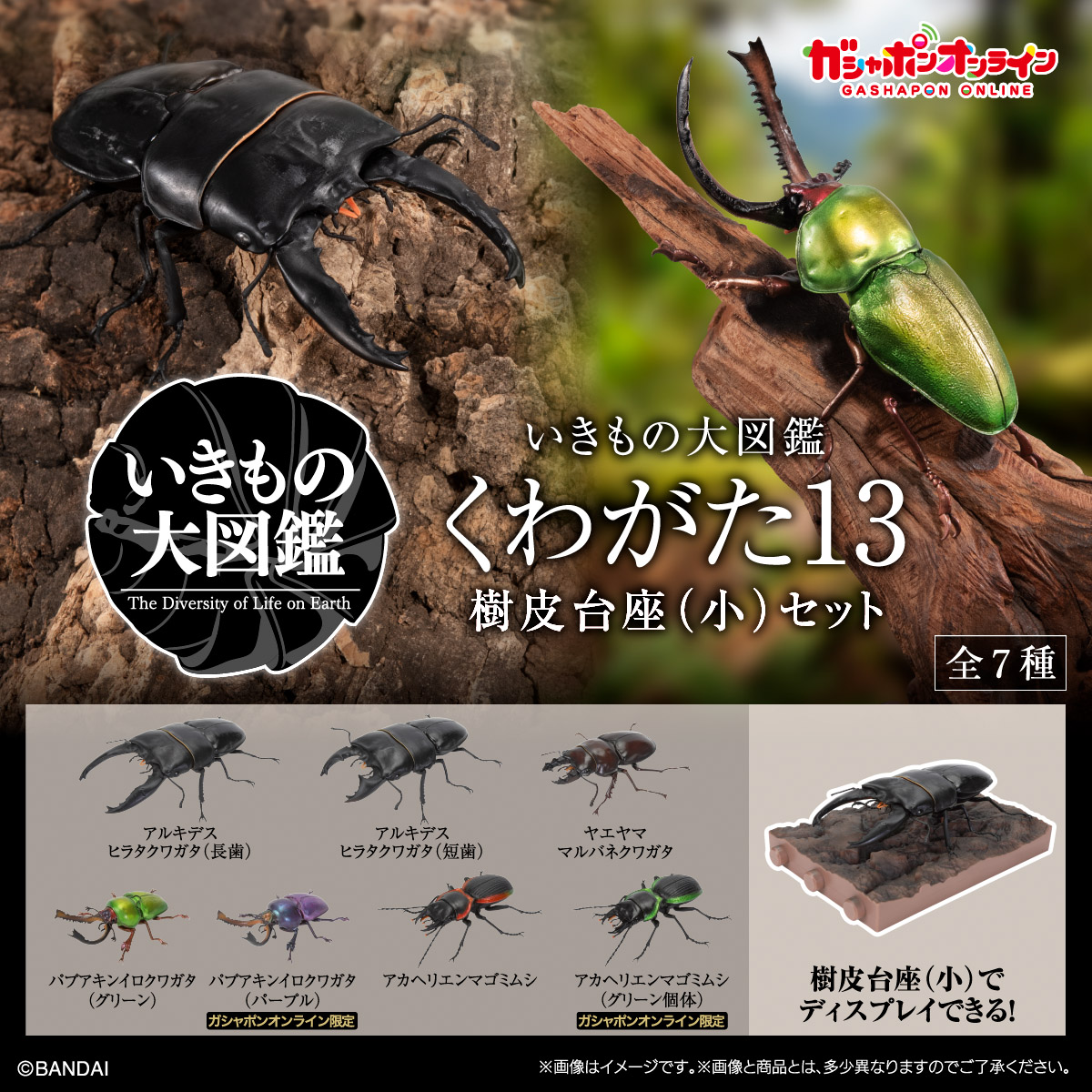 いきもの大図鑑｜ガシャポンオフィシャルサイト