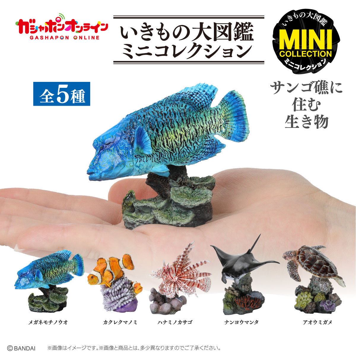 いきもの大図鑑ミニコレクション<br>サンゴ礁に住む生き物