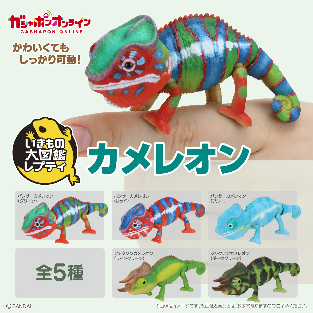 いきもの大図鑑レプティ<br>カメレオン
