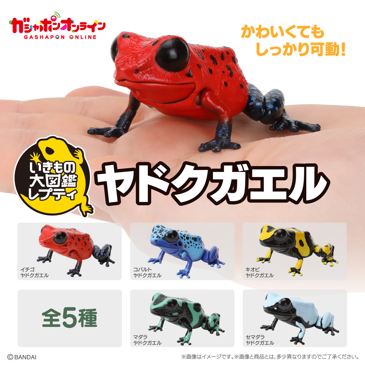 いきもの大図鑑レプティ ヤドクガエル