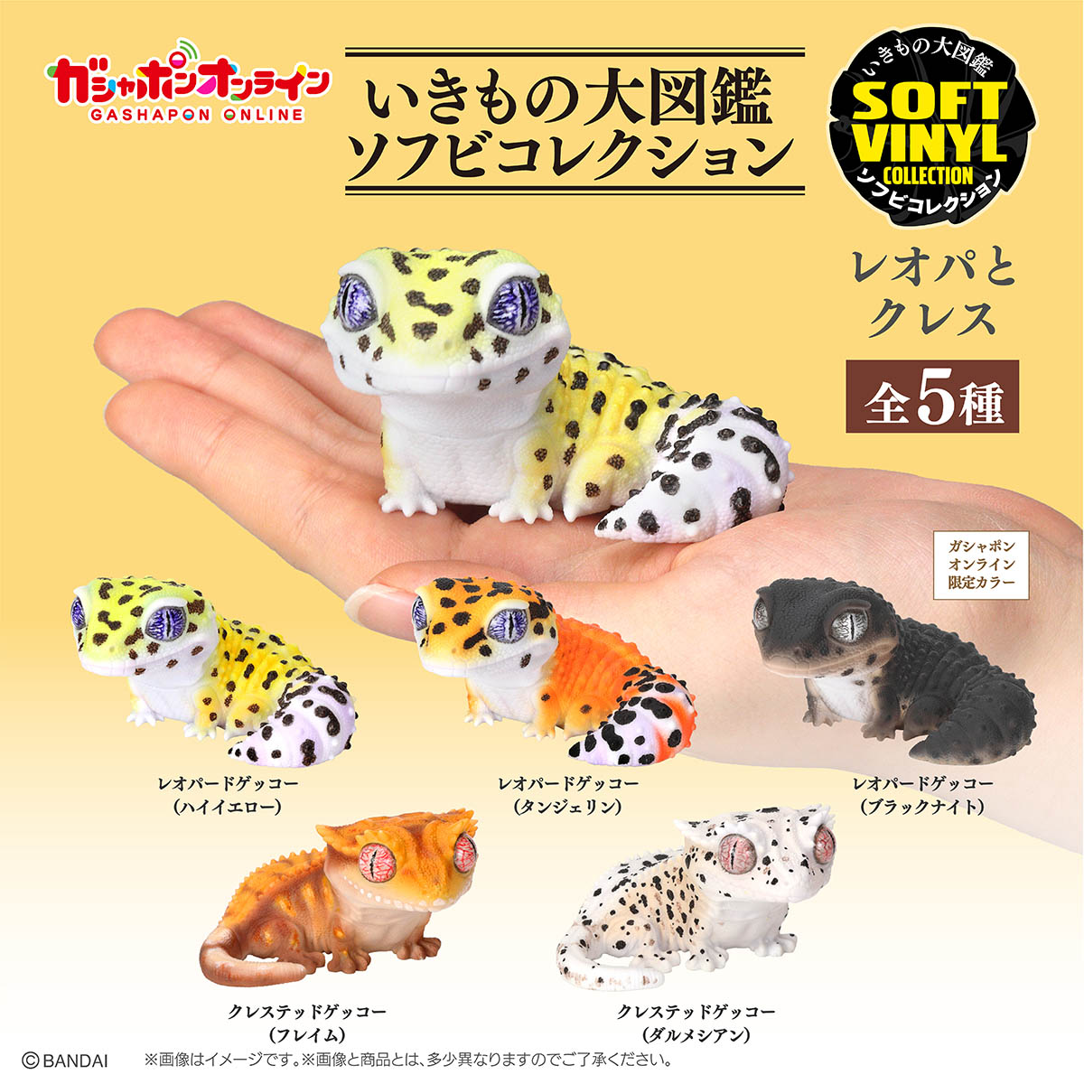 いきもの大図鑑 7体セット