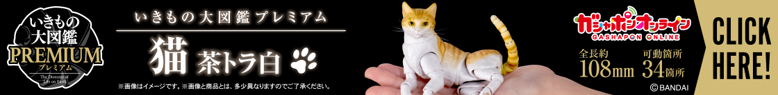 いきもの大図鑑プレミアム 猫