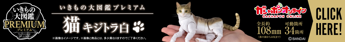 いきもの大図鑑プレミアム 猫