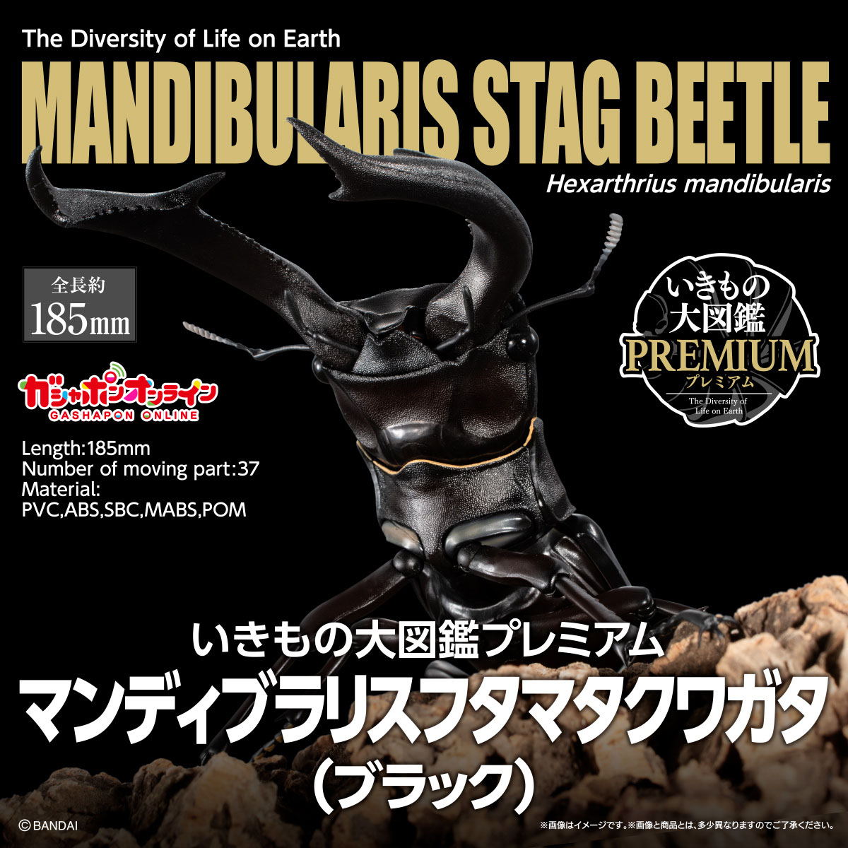 いきもの大図鑑プレミアム<br>マンディブラリスフタマタクワガタ（ブラック）