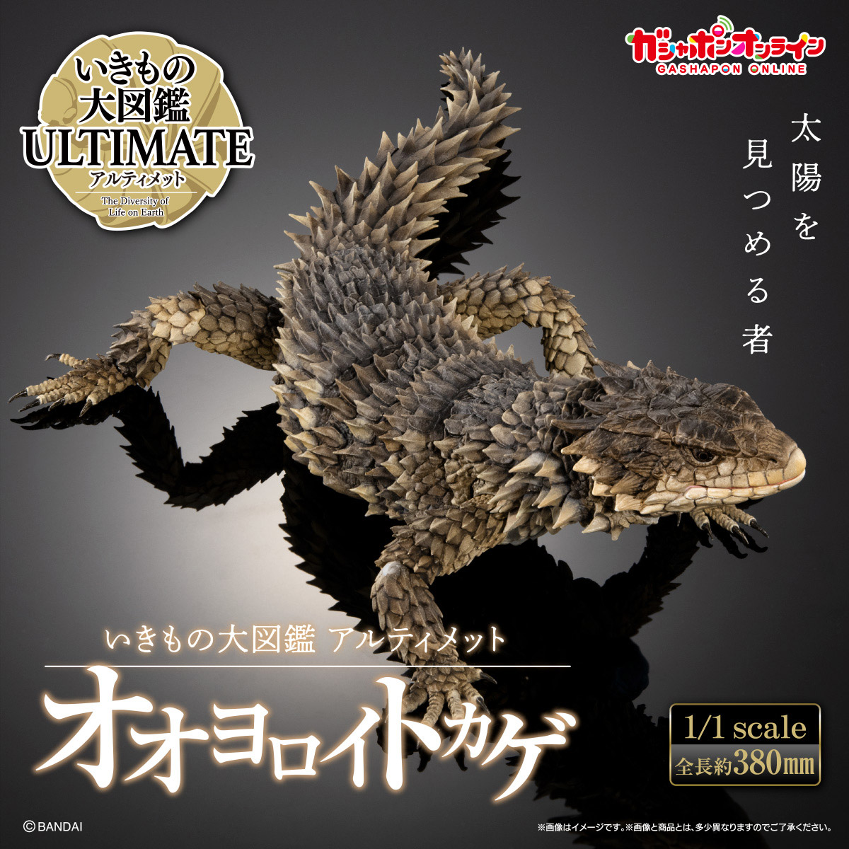 いきもの大図鑑アルティメット<br>オオヨロイトカゲ