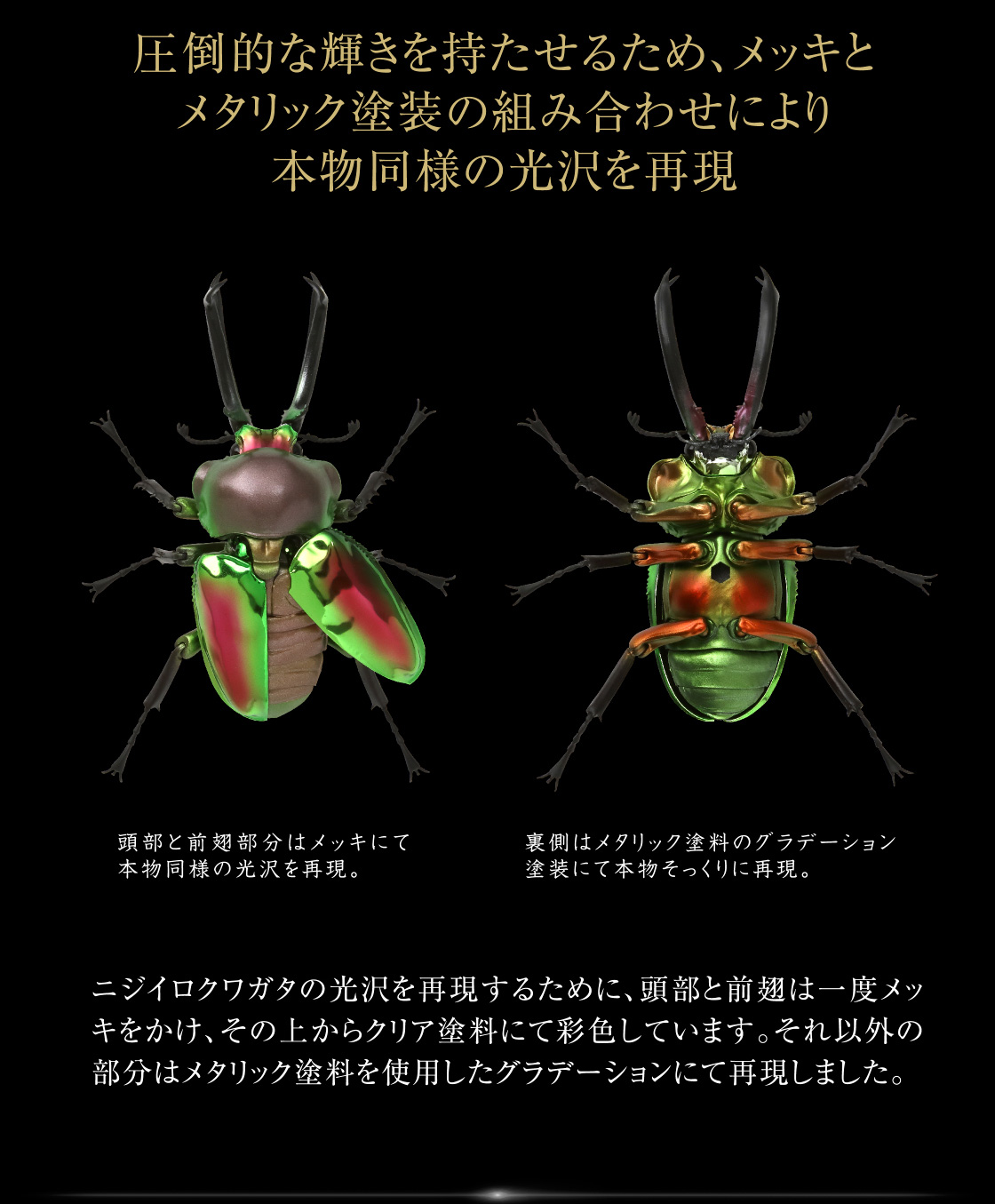 【翻译此页】最終在庫　本日発送　いきもの大図鑑　ニジイロクワガタ　4種　コンプリート その他