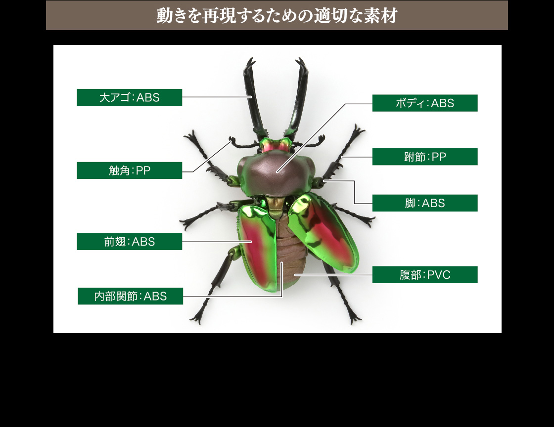 いきもの大図鑑アドバンス ニジイロクワガタ｜いきもの大図鑑 