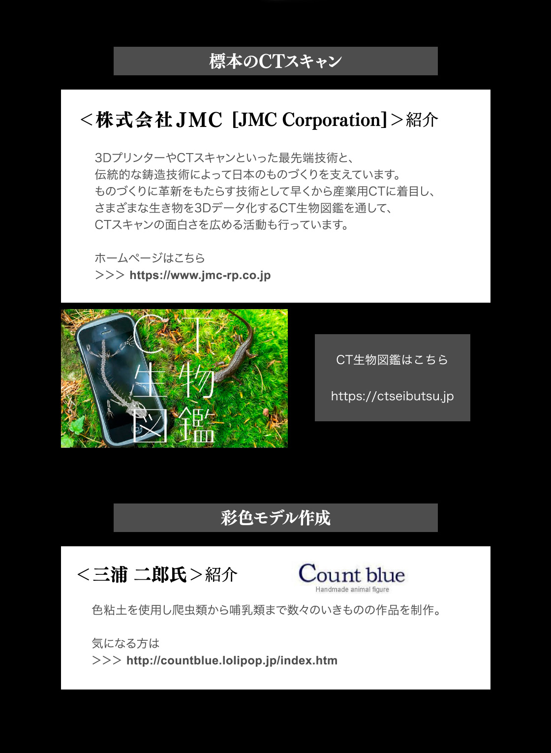 標本CTスキャン：株式会社JMC　CT生物図鑑はこちら　彩色：三浦 二郎氏