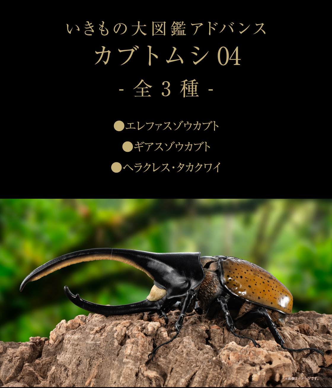いきもの大図鑑アドバンス カブトムシ04 -全3種- ●エレファスゾウカブト ●ギアスゾウカブト ●ヘラクレス・タカクワイ