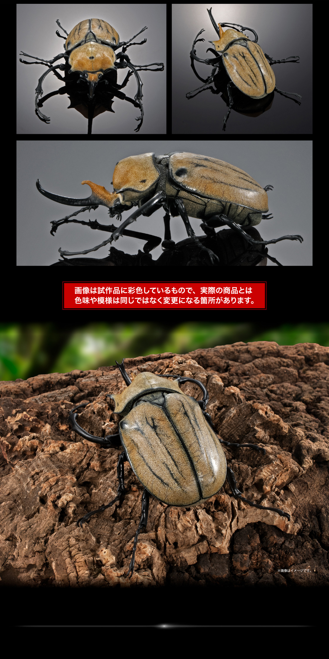 エレファスゾウカブト