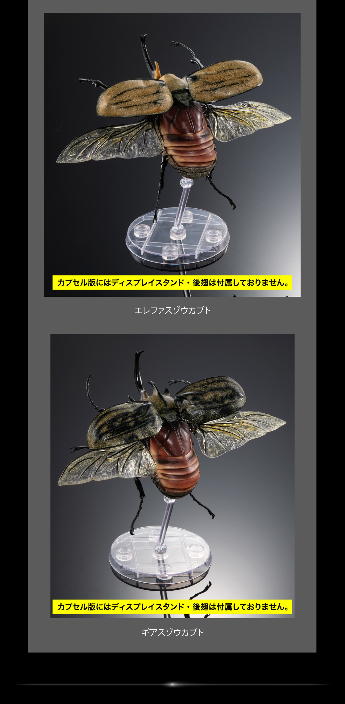 エレファスゾウカブト ギアスゾウカブト カプセル版にはディスプレイスタンド・後翅は付属しておりません。
