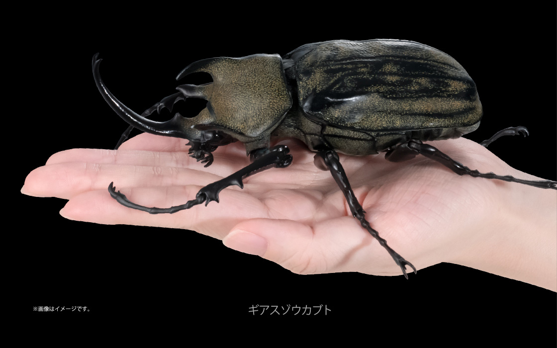 樹皮台座（中）が付属するのは、ガシャポンオンライン版のみとなります。カプセル版には付属しません。