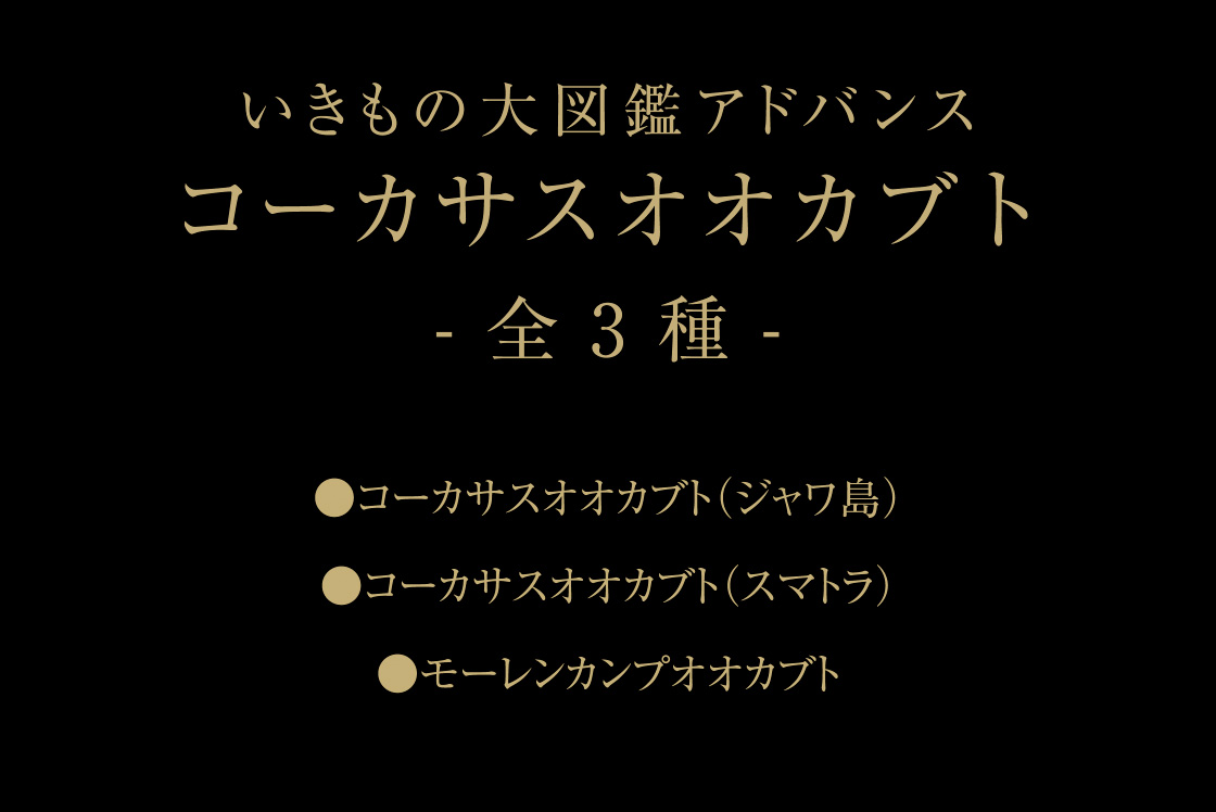 いきもの大図鑑アドバンス コーカサスオオカブト -全3種-