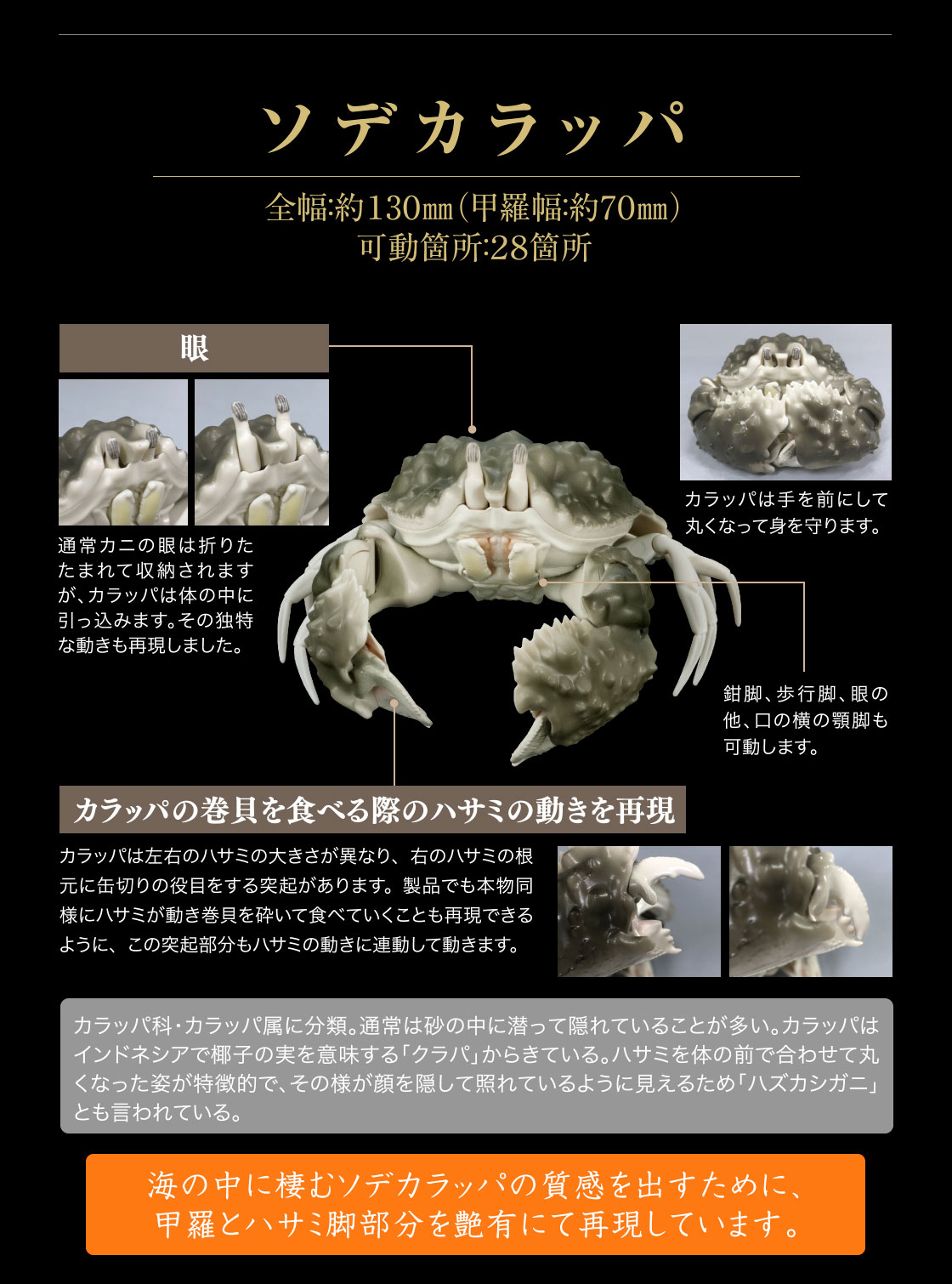 いきもの大図鑑アドバンス かに いきもの大図鑑 ガシャポンオフィシャルサイト いきもの大図鑑アドバンス かに いきもの大図鑑 ガシャポンオフィシャルサイト