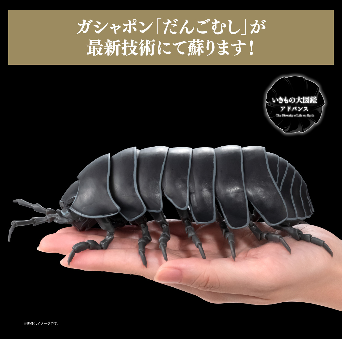 ガシャポン「だんごむし」が最新技術にて蘇ります！
