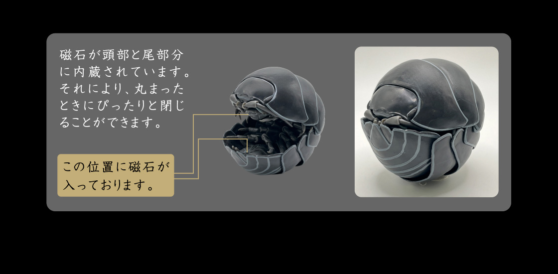 磁石が頭部と尾部分に内蔵されています。それにより、丸まったときにぴったりと閉じることができます。