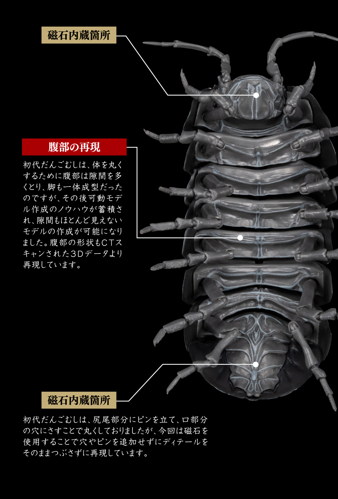 磁石内蔵箇所 腹部の再現 磁石内蔵箇所
