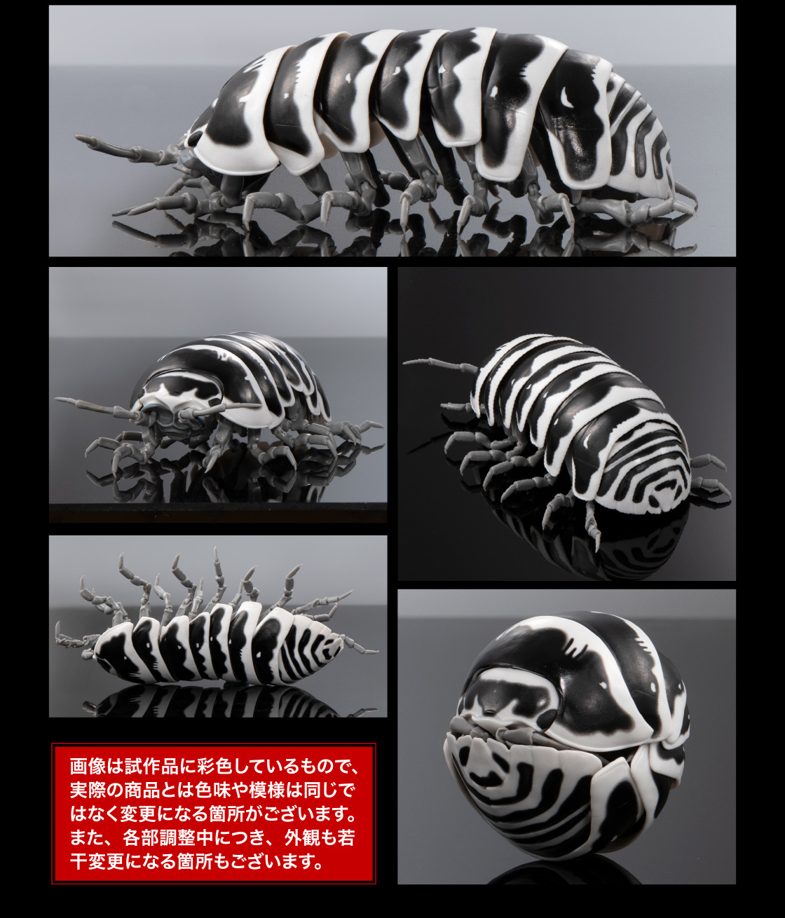 ゼブラダンゴムシ 画像は試作品に彩色しているもので、実際の商品とは色味や模様は同じではなく変更になる箇所がございます。また、各部調整中につき、外観も若干変更になる箇所もございます。