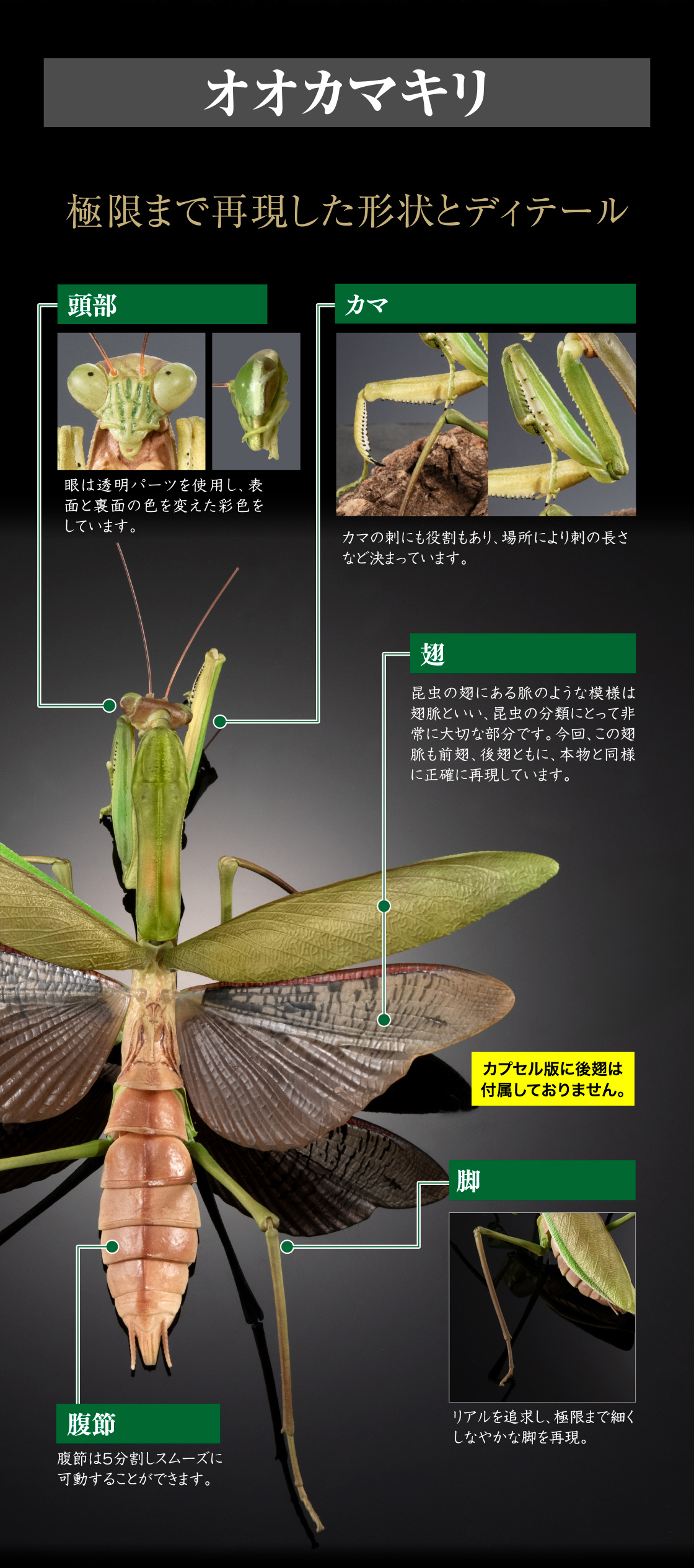 オオカマキリ 極限まで再現した形状とディテール