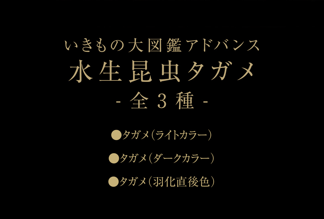 いきもの大図鑑アドバンス 水生昆虫タガメ -全3種-　タガメ（ライトカラー） / タガメ（ダークカラー） / タガメ（羽化直後色）