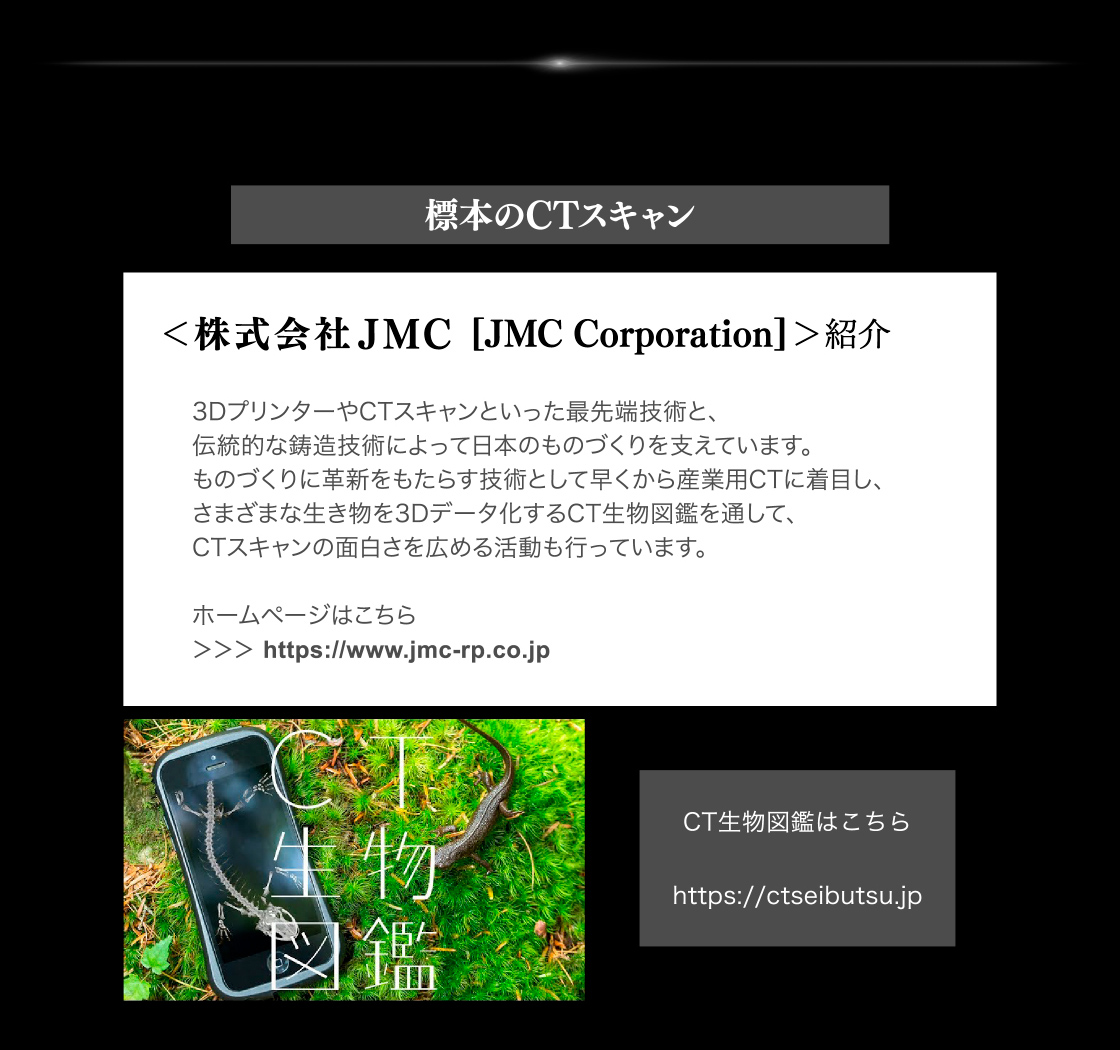 標本のCTスキャン：株式会社JMC[JMC Corporation]紹介　CT生物図鑑はこちら